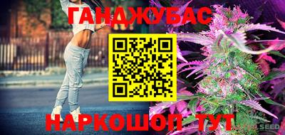 спиды Братск