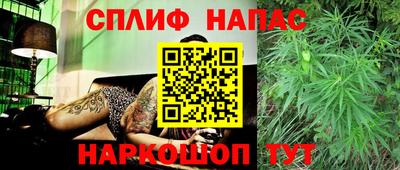 бошки Владимир