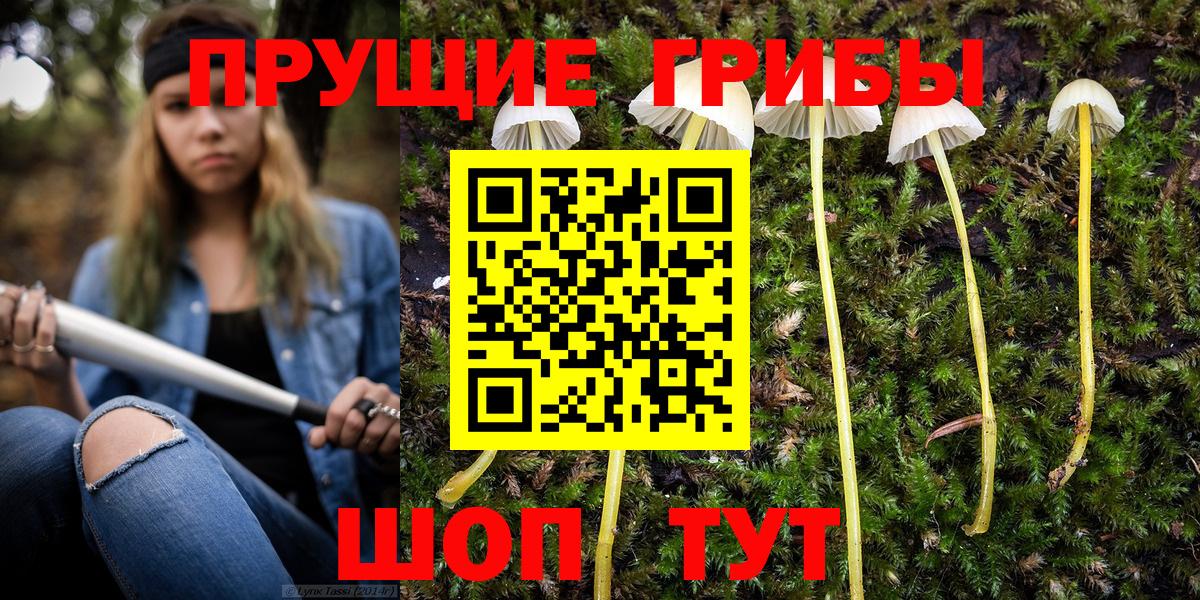 Галлюциногенные грибы Cubensis Горячий Ключ